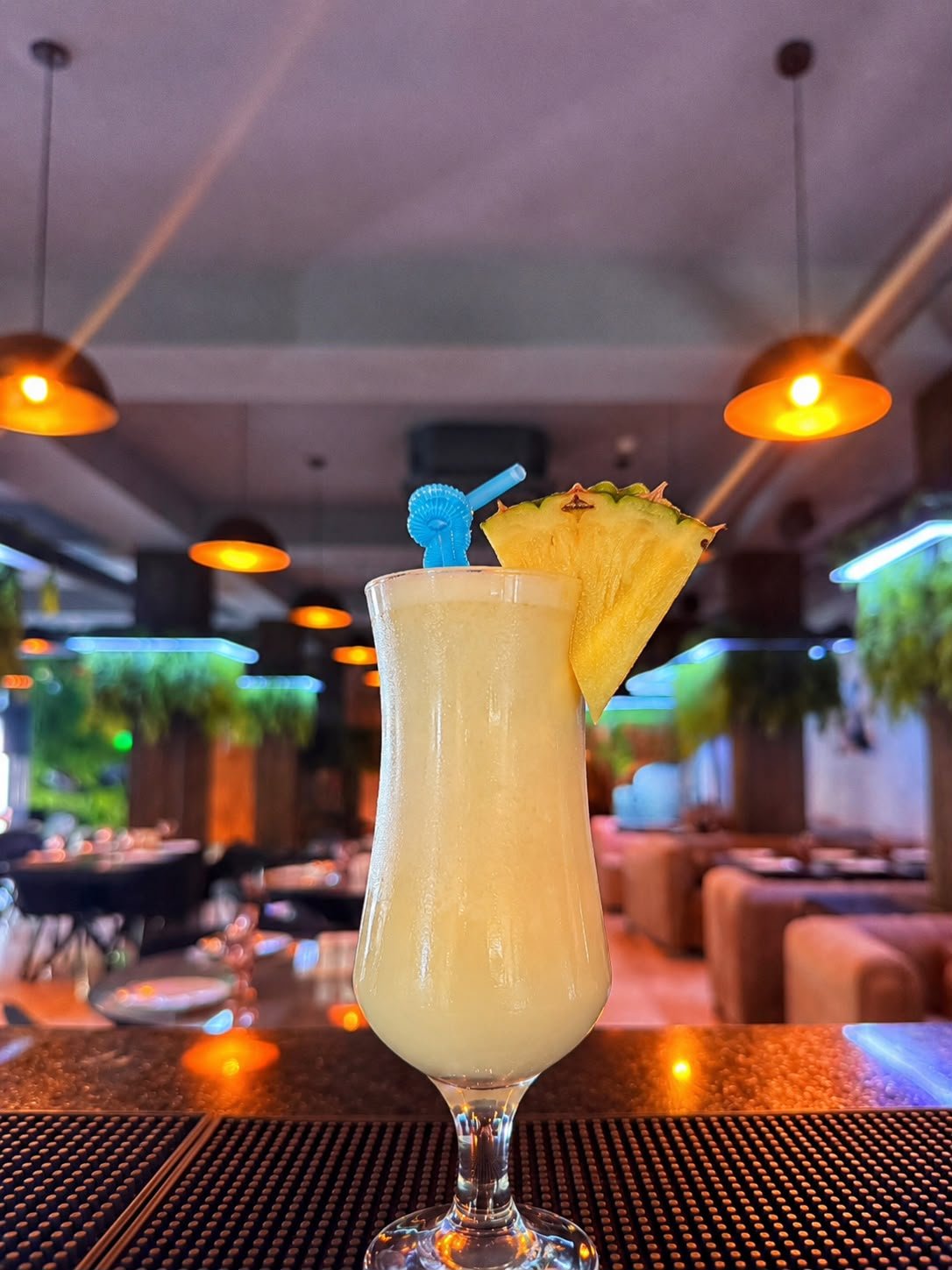 Pina Coloda